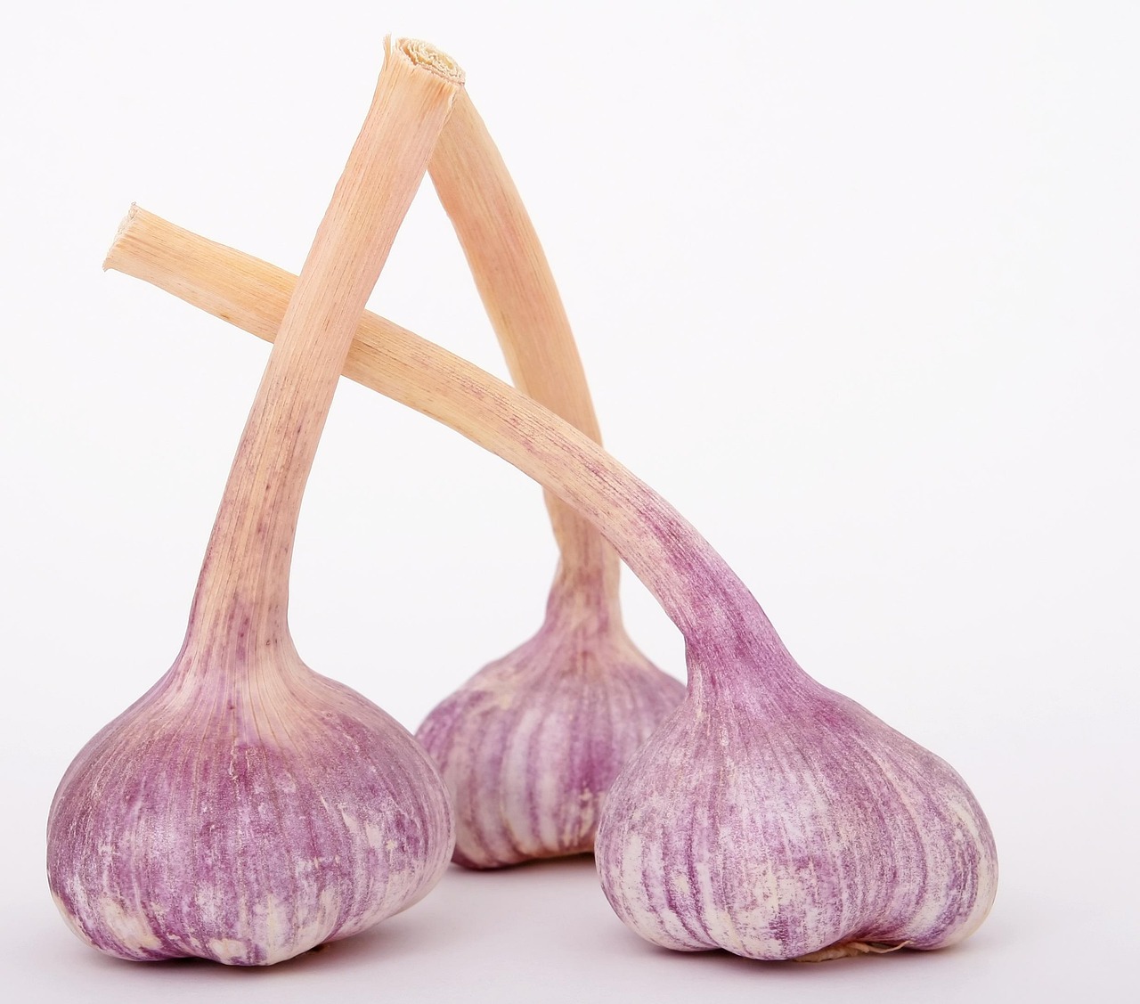 Wie kann man gesund und günstig kochen?