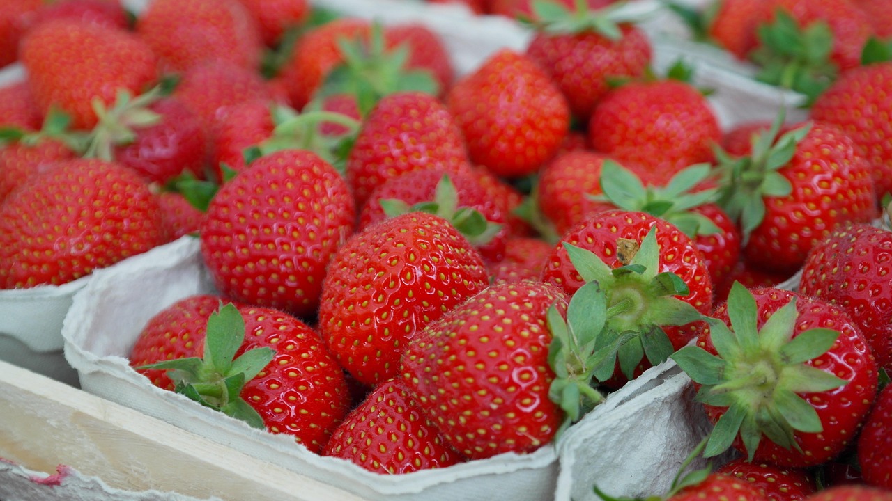 Welche Vitamine sind im Winter besonders wichtig?